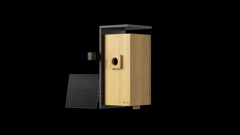 The Birdfy Nest Duo smart birdhouse with its distinctive wooden build and dual-lens camera system.