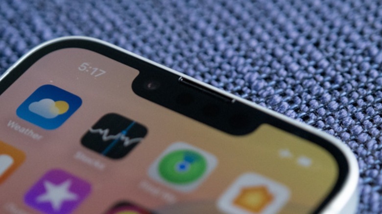 Close-up detail of the screen notch on an entry-level iPhone display.