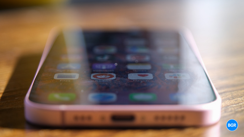 The iPhone 15 screen featuring the Dynamic Island at the top.