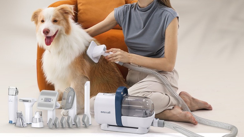 A woman using a specialized vacuum attachment to groom a dog's fur, capturing loose hair instantly.