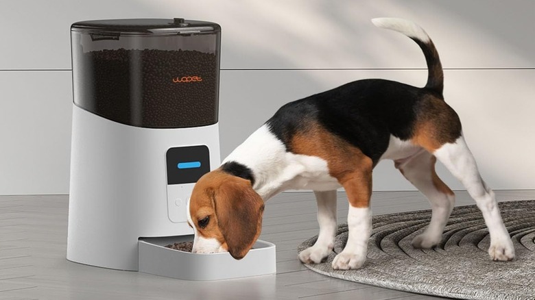 A puppy eating from a sleek white WOPET automatic dog feeder.