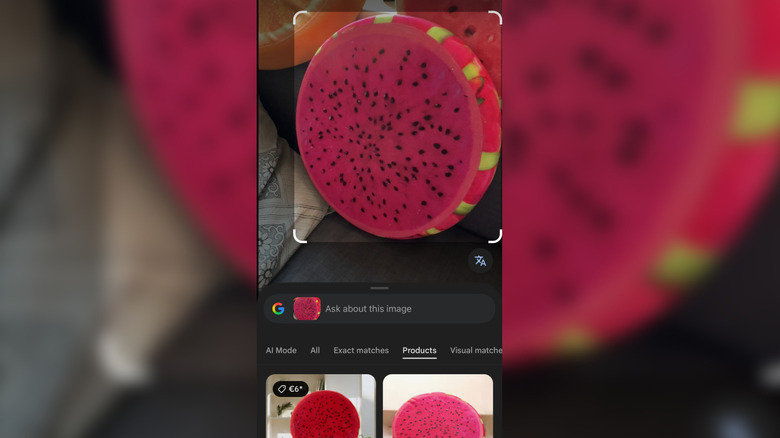 Google Lens identifying a specific cushion design from a photo.