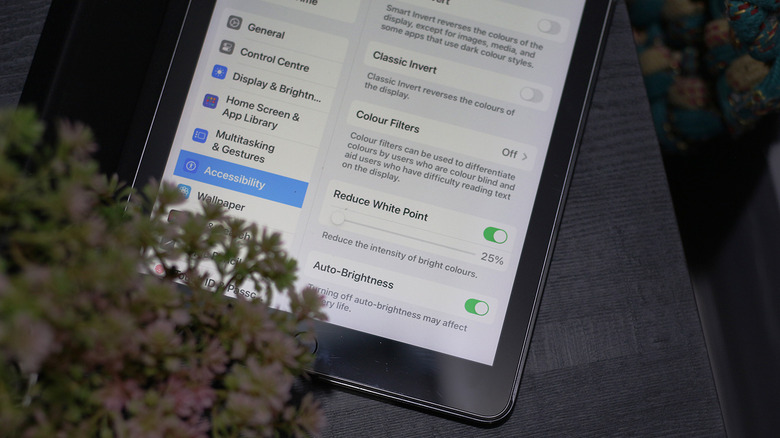iPad Settings menu showing Display and Brightness options.