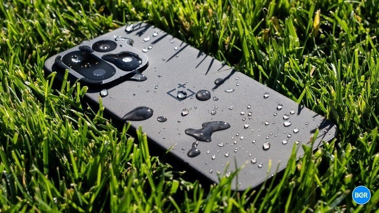 Close-up of a OnePlus smartphone on green grass covered in clear water droplets.